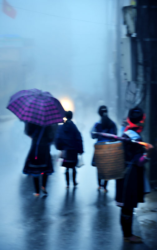 morning rain 3