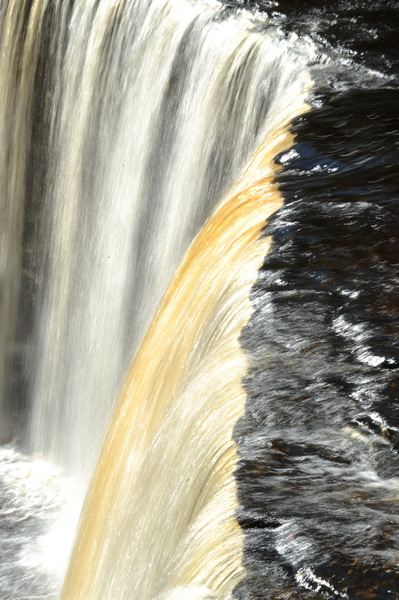 DSC_4200_resize.JPG