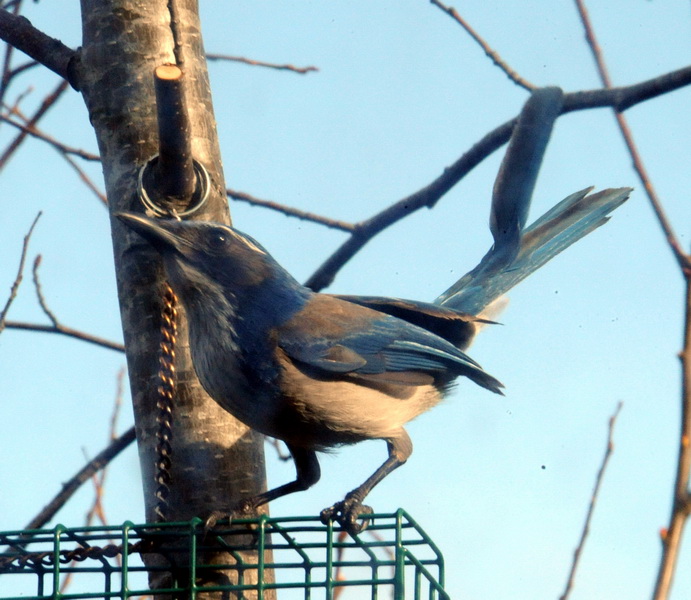 DSC_0057a_resize.jpg