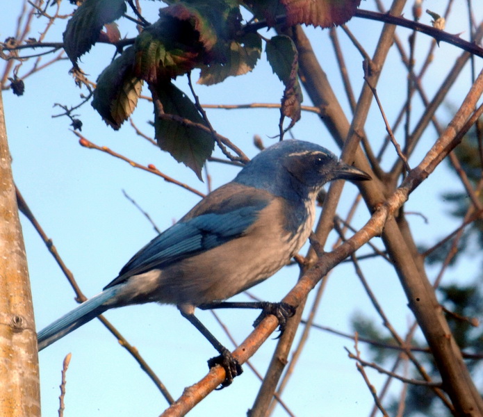 DSC_0069a_resize.jpg