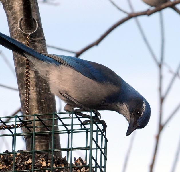 DSC_0173a_resize.jpg