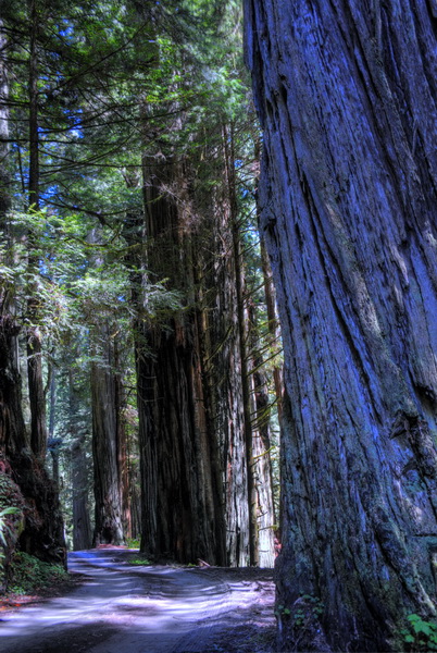 DSC_0608_6_5_7_9_tonemapped_resize.jpg