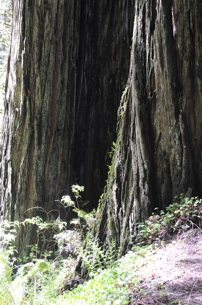 DSC_0629_resize.JPG