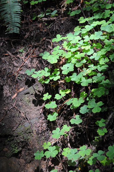 DSC_0664_resize.JPG