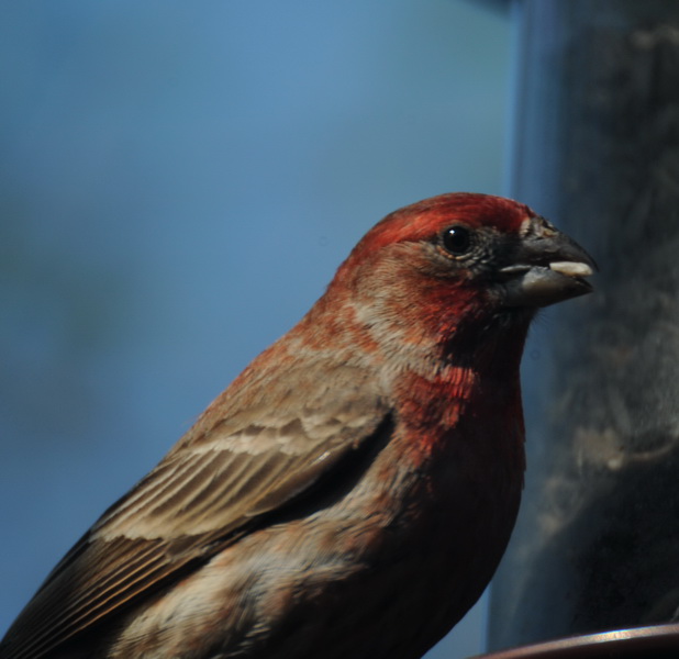 DSC_0841a_resize.jpg