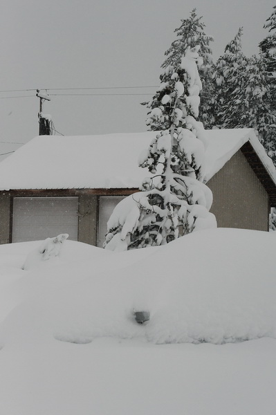 DSC_8832_resize.jpg