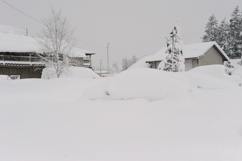 DSC_8834_resize.jpg