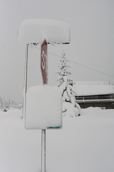 DSC_8835_resize.jpg