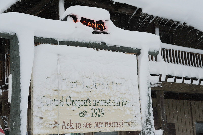 DSC_8847_resize.jpg