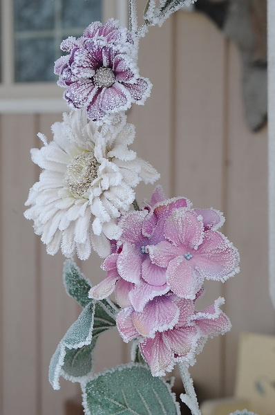 DSC_9682_resize.jpg