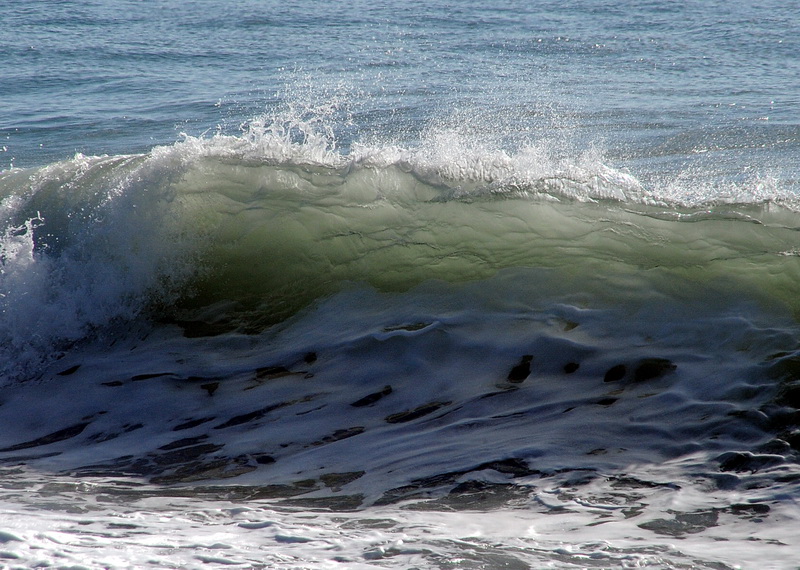 DSC_1223_resize.jpg