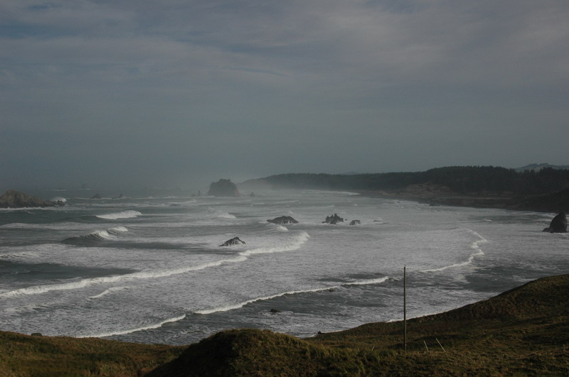 DSC_0181_resize.JPG