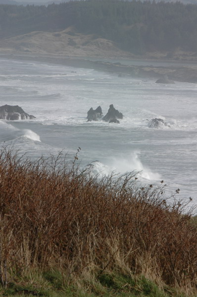 DSC_0204_resize.JPG
