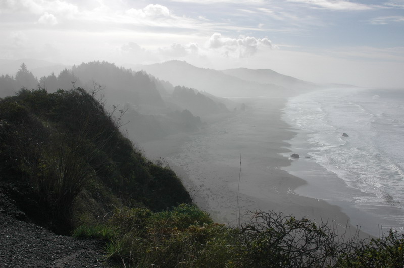 DSC_0237_resize.JPG