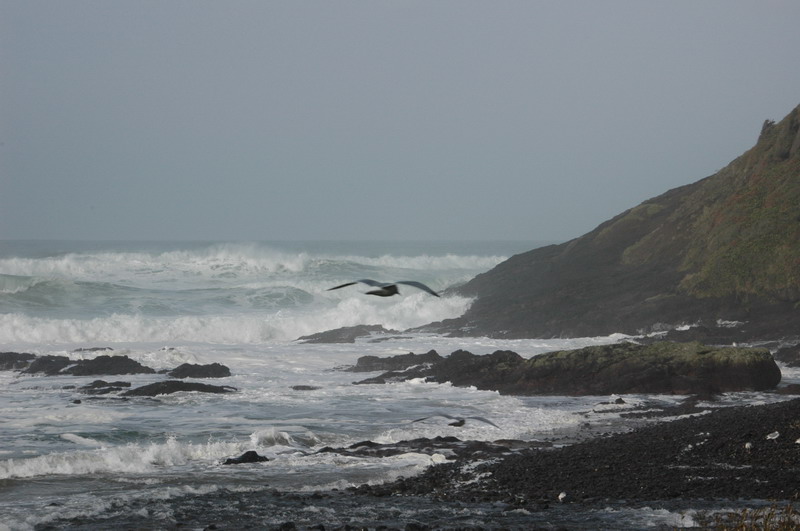 DSC_0282_resize.JPG