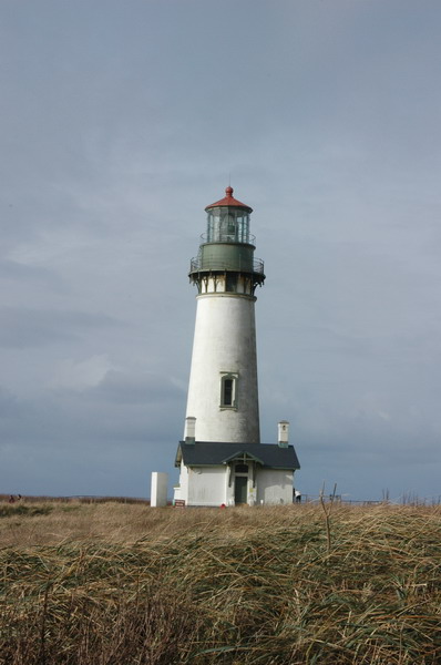 DSC_0312_resize.JPG