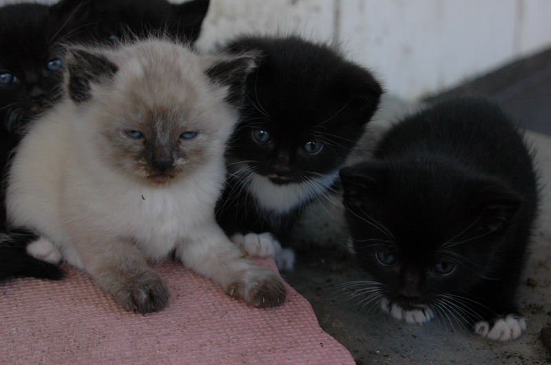DSC_0364_resize.JPG