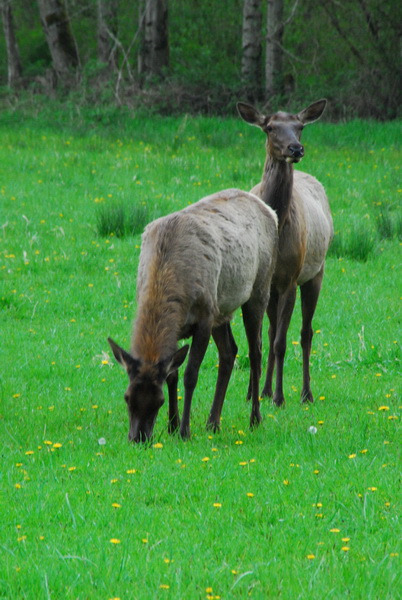 DSC_1620_resize.JPG