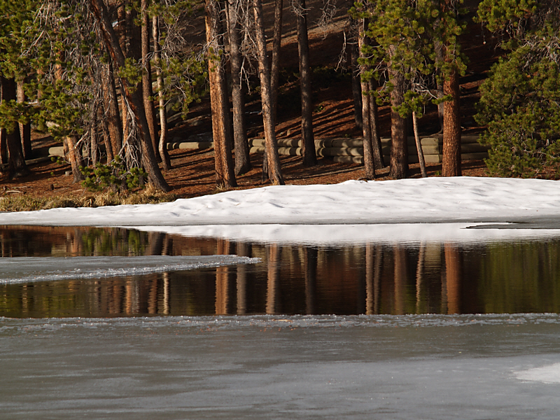 Sprague lake