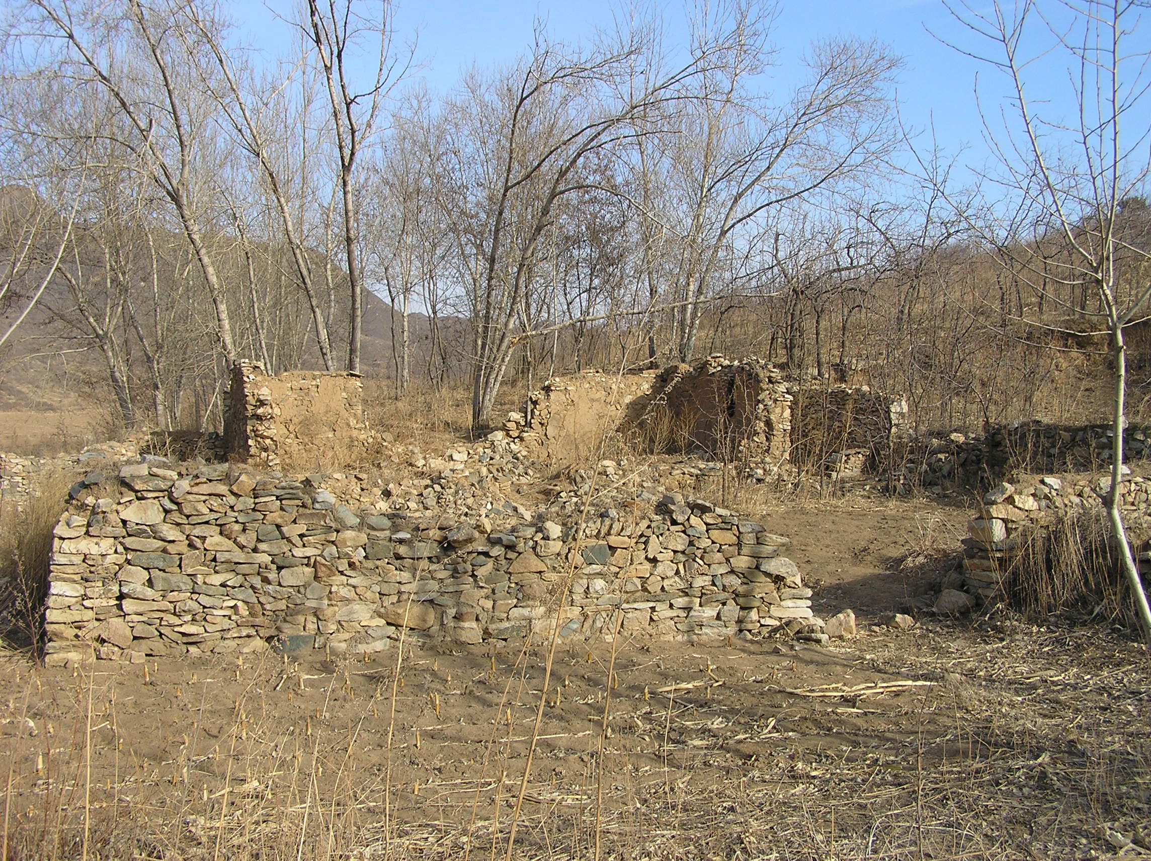 P1093459.JPG