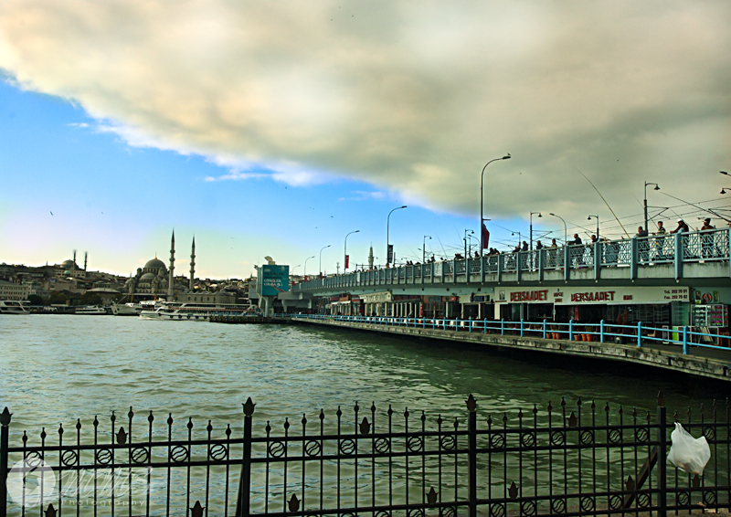 _MG_6028.jpg