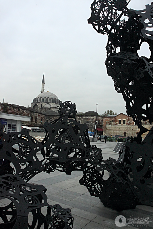 _MG_6225.jpg