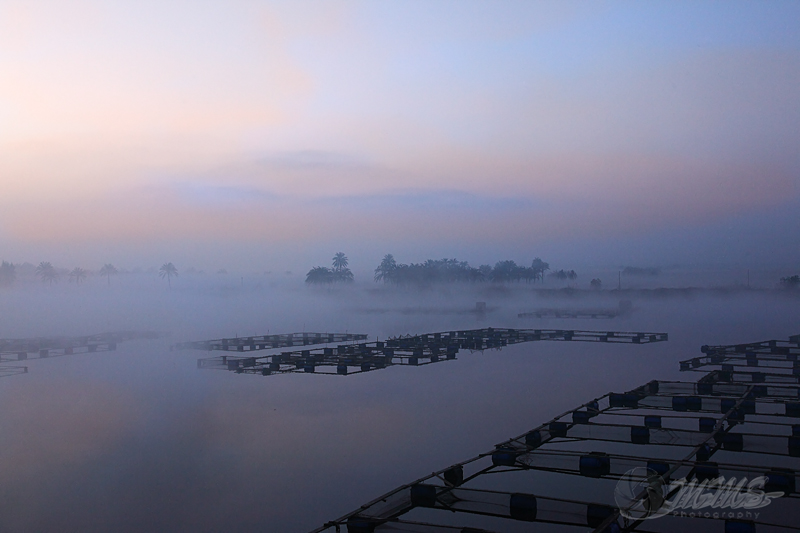 _MG_3725.jpg