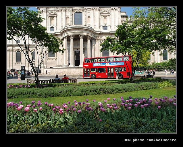 Flowers #01, St Pauls Cathedral, London