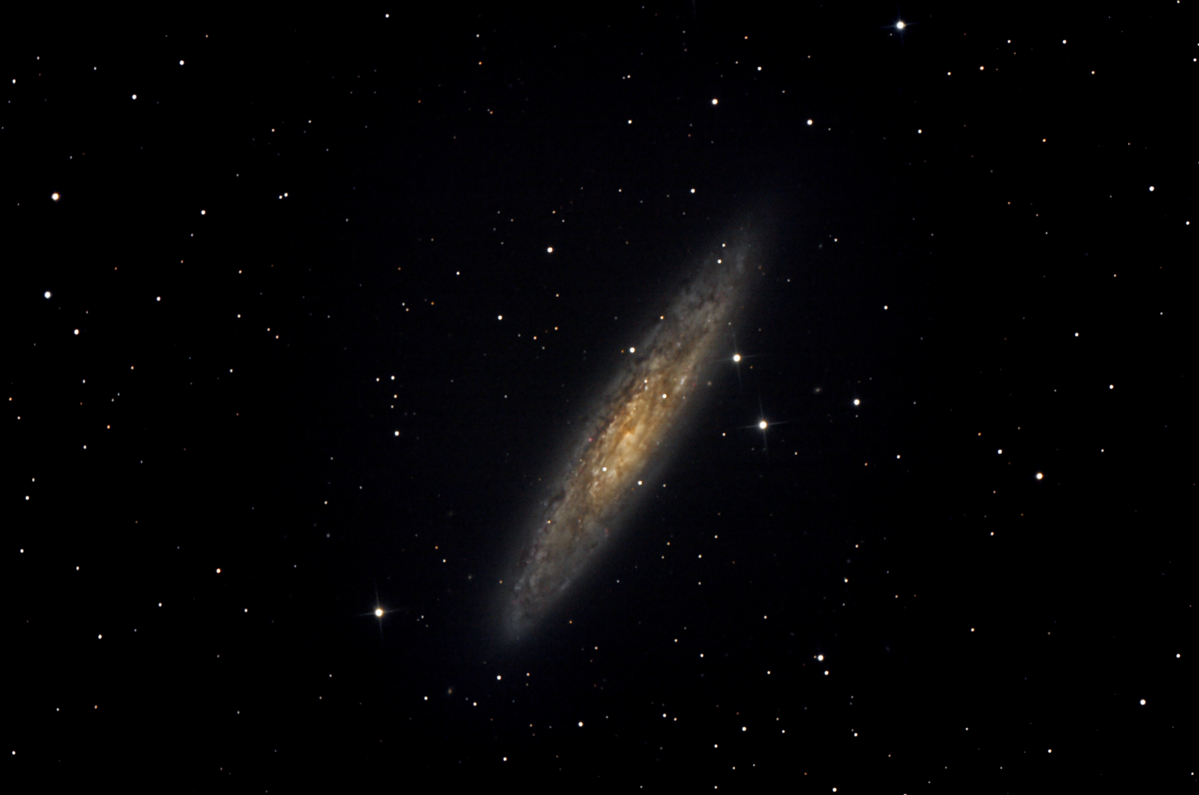 NGC 253
