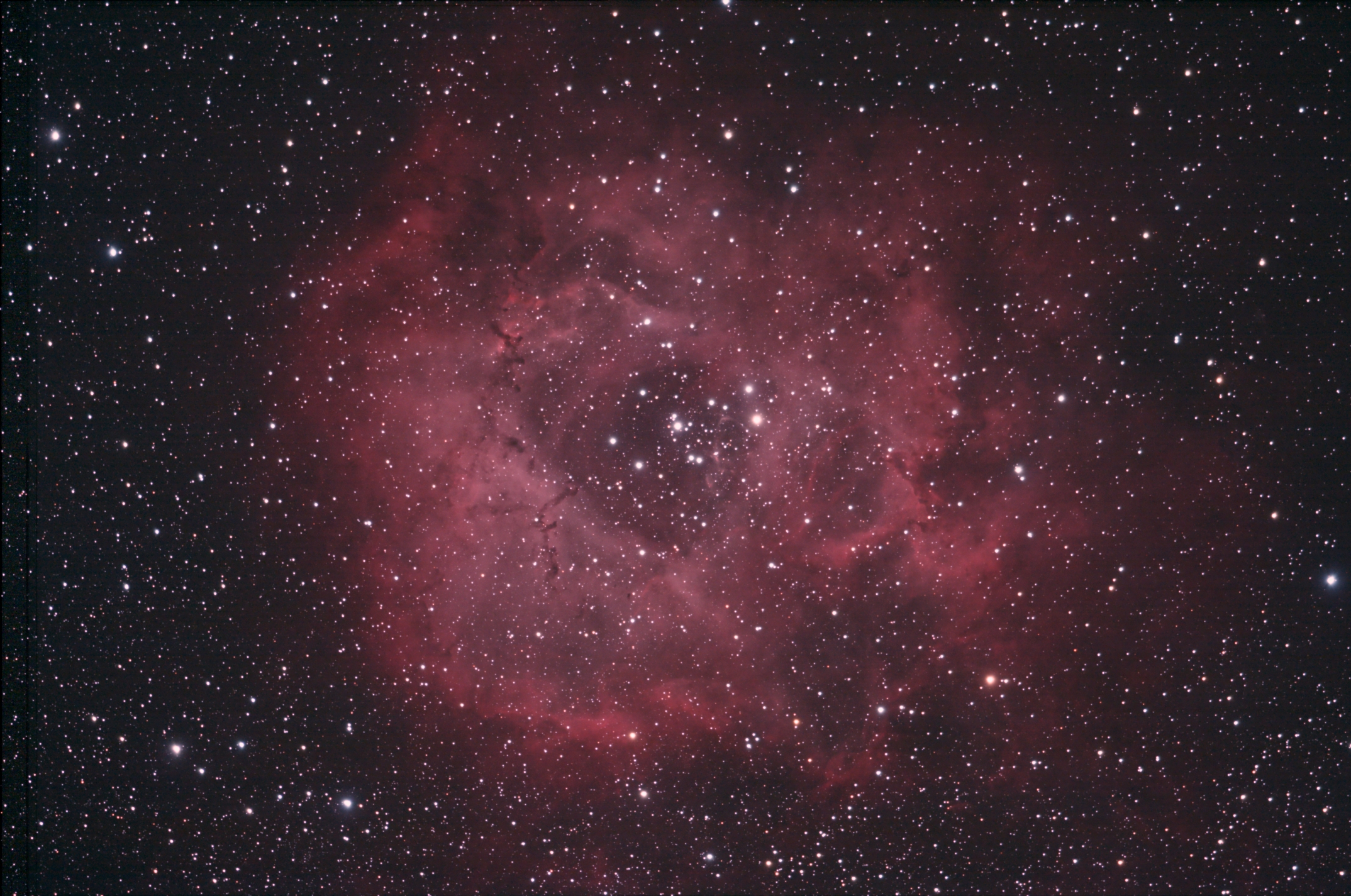 Rosette RGB