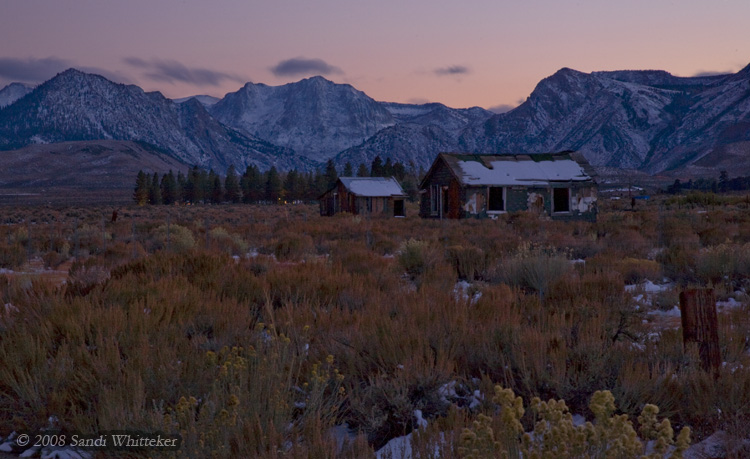 Shack with a View