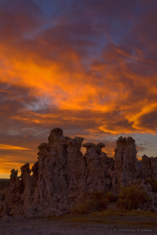 More Mono Lake Drama
