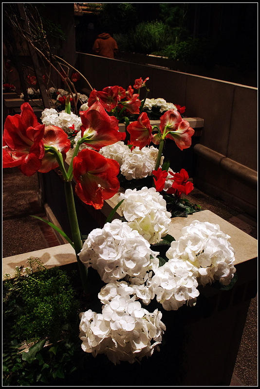IMGP5494_1.jpg