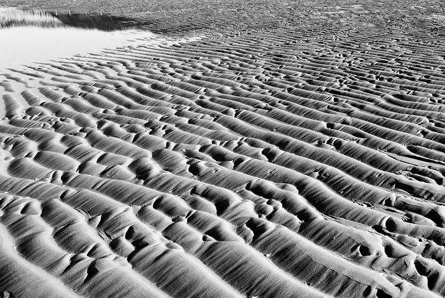 sand patterns5_crop_bw.jpg