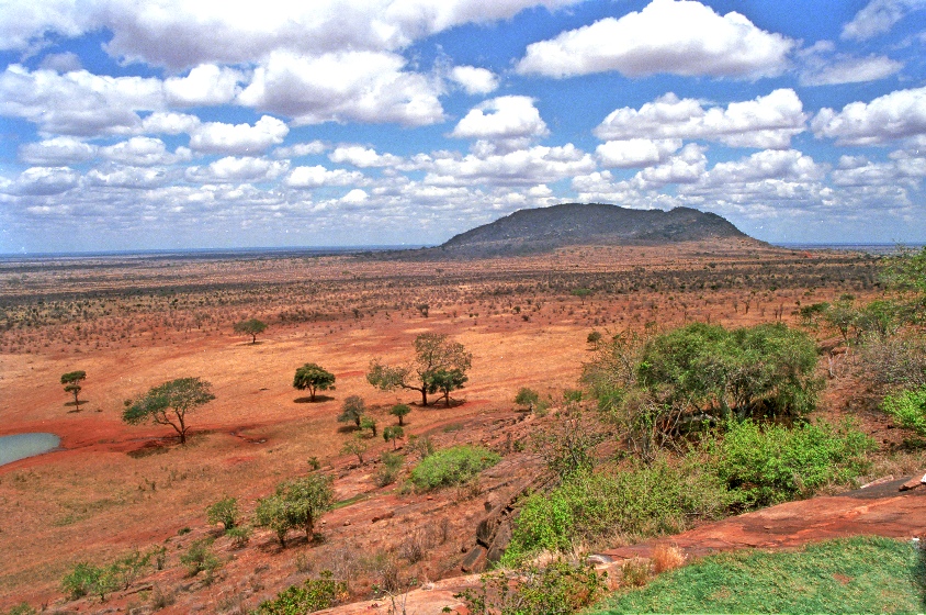 Tsavo