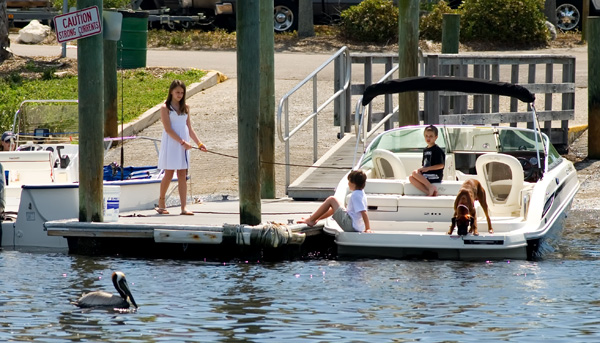 Pelican on Pier with People.jpg