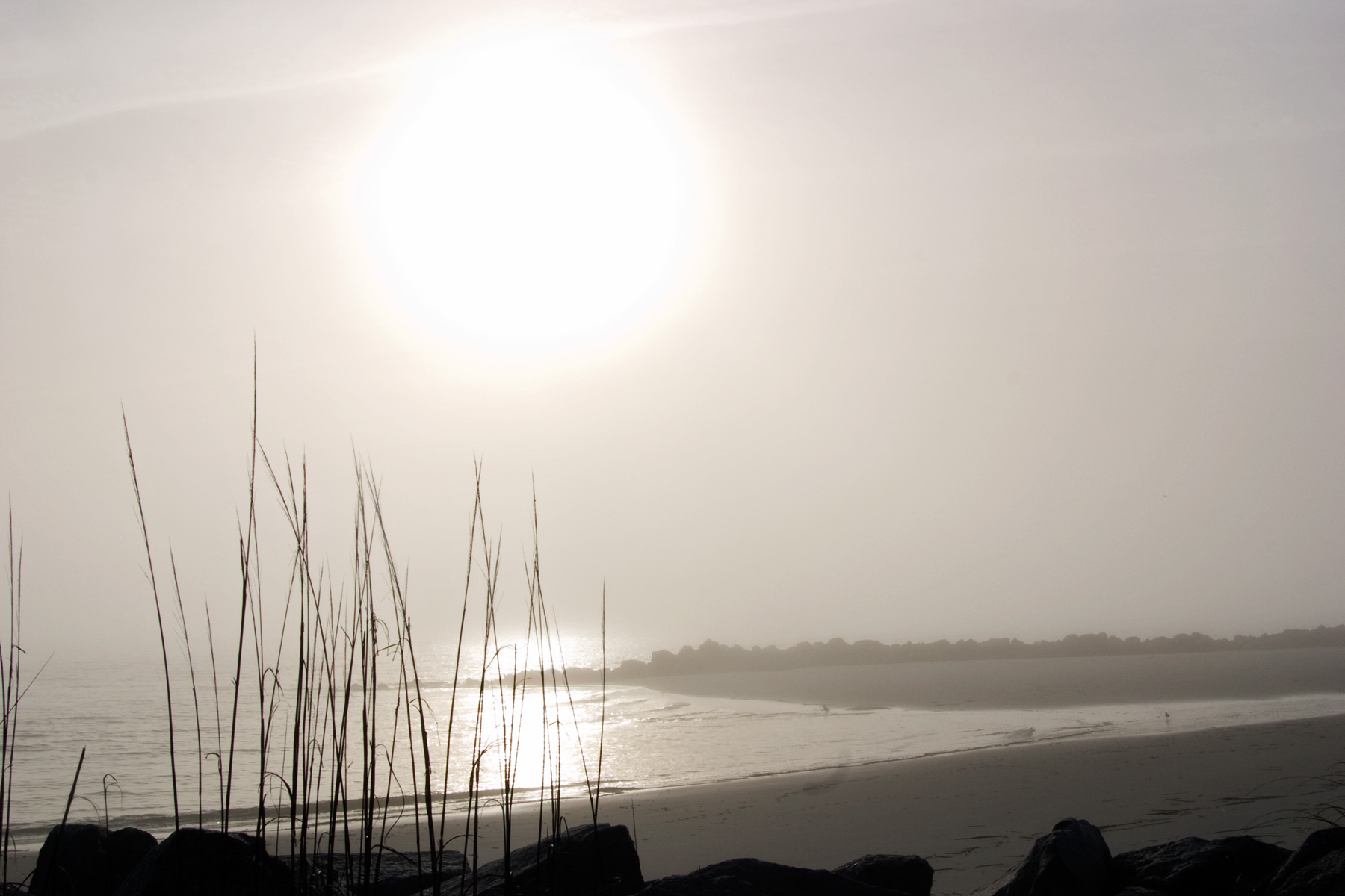 Folly Beach