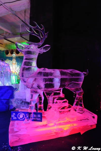 Ice Sculpture Exhibition DSC_8507