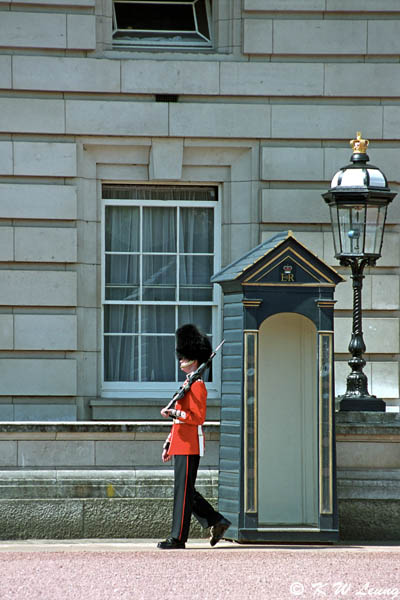 Buckingham Palace 05