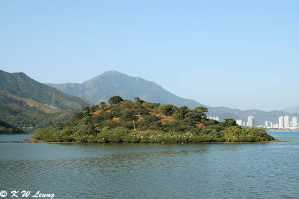 A Chau, Luk Keng DSC_1499
