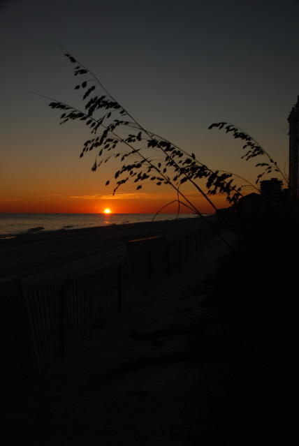 DSC_2015.JPG