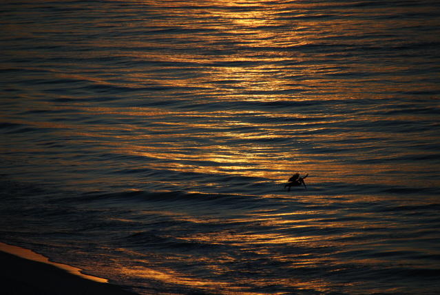 DSC_2060.JPG