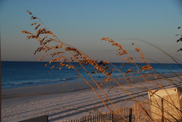 DSC_2087.JPG