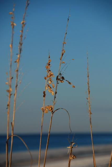 DSC_2128.JPG