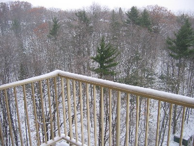 snowday1.JPG
