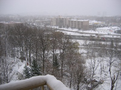 snowday2.JPG