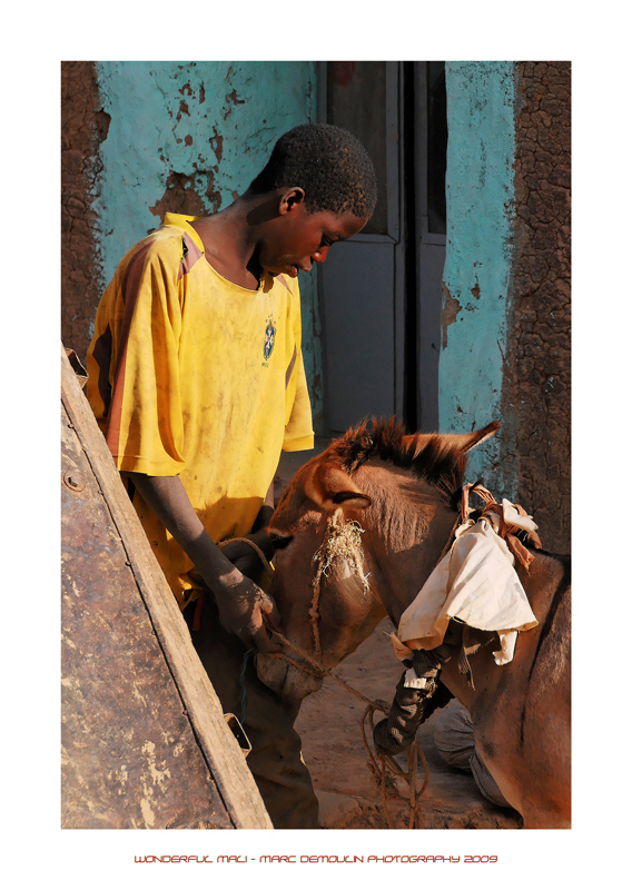 Wonderful Mali 21