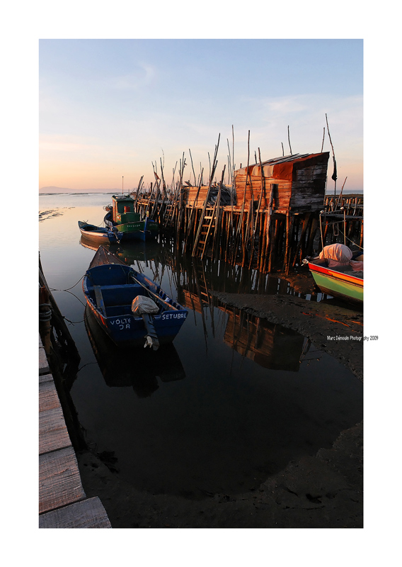 Carrasqueira 26