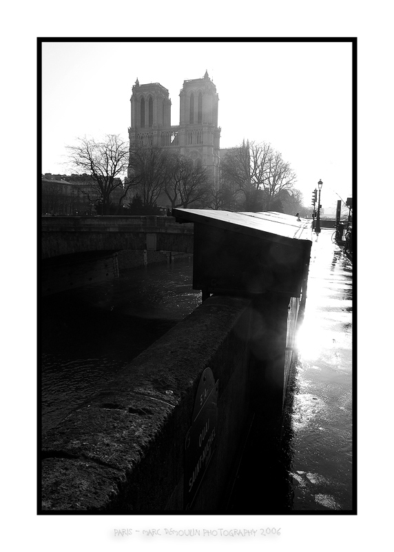 Notre Dame and books retailers booth