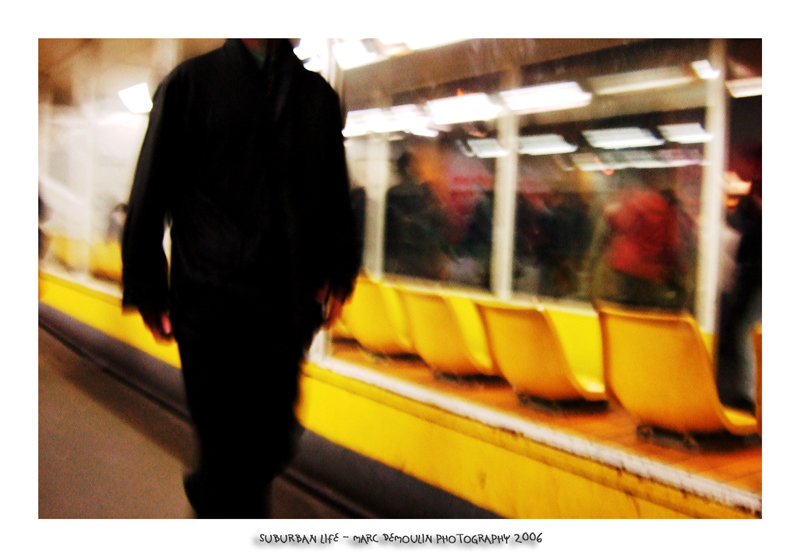 Suburban life 33